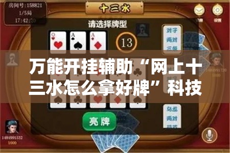 万能开挂辅助“网上十三水怎么拿好牌”科技辅助神器手机版教程