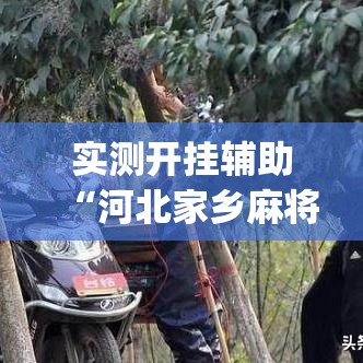 实测开挂辅助“河北家乡麻将亲友圈怎么开挂”(透视挂)辅助透视教程