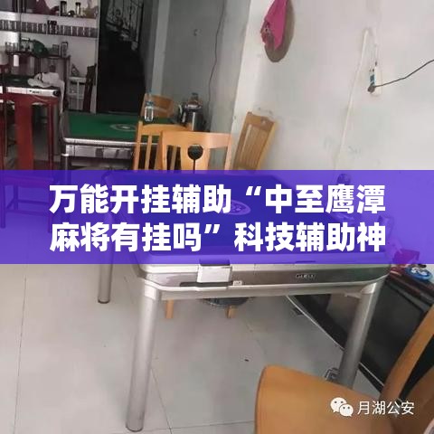 万能开挂辅助“中至鹰潭麻将有挂吗	”科技辅助神器手机版教程