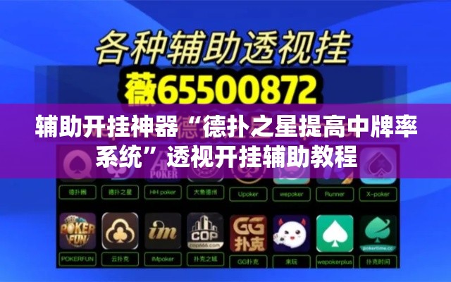 辅助开挂神器“德扑之星提高中牌率系统”透视开挂辅助教程