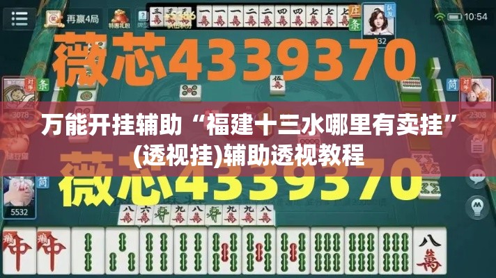 万能开挂辅助“福建十三水哪里有卖挂”(透视挂)辅助透视教程