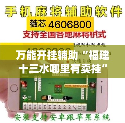 万能开挂辅助“福建十三水哪里有卖挂”(透视挂)辅助透视教程