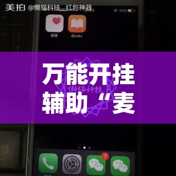 万能开挂辅助“麦穗推锅外卦神器”科技辅助神器手机版教程