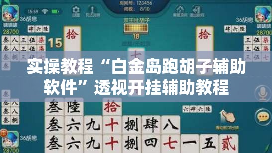 实操教程“白金岛跑胡子辅助软件”透视开挂辅助教程