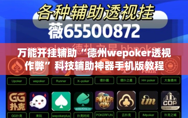 万能开挂辅助“德州wepoker透视作弊”科技辅助神器手机版教程