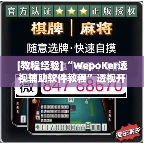 [教程经验]“WepoKer透视辅助软件教程	”透视开挂辅助教程