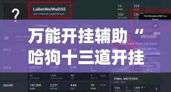 万能开挂辅助“哈狗十三道开挂辅助软件	”(透视挂)辅助透视教程