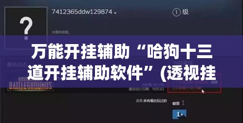 万能开挂辅助“哈狗十三道开挂辅助软件”(透视挂)辅助透视教程
