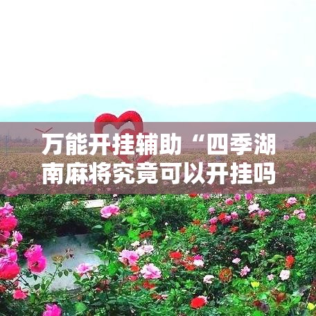 万能开挂辅助“四季湖南麻将究竟可以开挂吗”透视开挂辅助教程