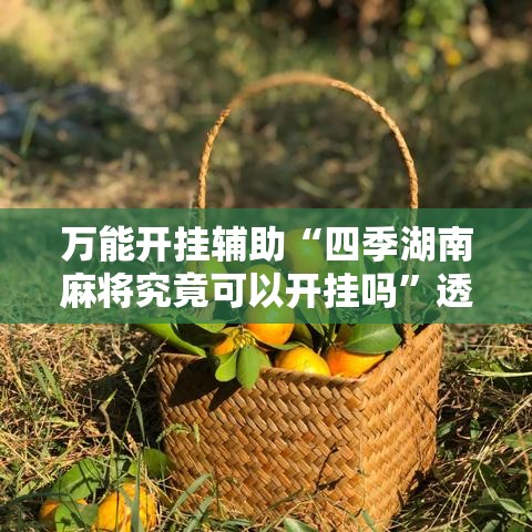 万能开挂辅助“四季湖南麻将究竟可以开挂吗”透视开挂辅助教程
