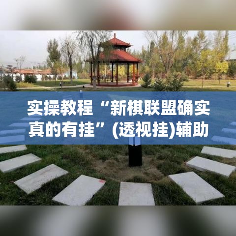 实操教程“新棋联盟确实真的有挂”(透视挂)辅助透视教程