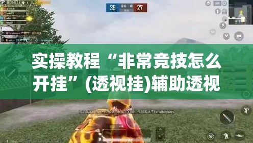 实操教程“非常竞技怎么开挂”(透视挂)辅助透视教程