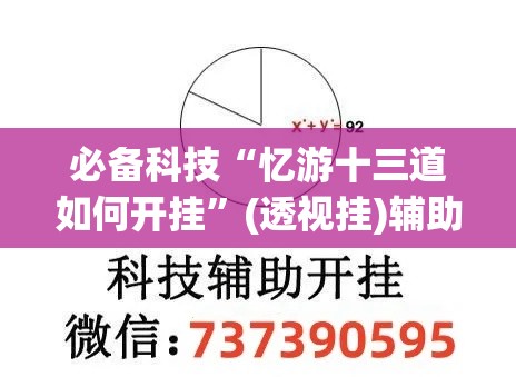 必备科技“忆游十三道如何开挂”(透视挂)辅助透视教程