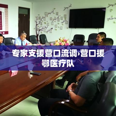专家支援营口流调›营口援鄂医疗队