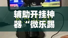 辅助开挂神器“微乐踢坑透视挂下载	”科技辅助神器手机版教程