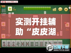 实测开挂辅助“皮皮湖南麻将开挂神器	”透视开挂辅助教程