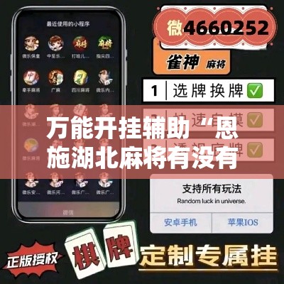 万能开挂辅助“恩施湖北麻将有没有挂”科技辅助神器手机版教程