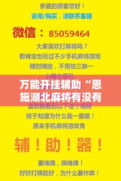 万能开挂辅助“恩施湖北麻将有没有挂”科技辅助神器手机版教程