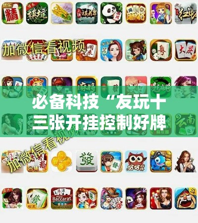 必备科技“友玩十三张开挂控制好牌器”科技辅助神器手机版教程