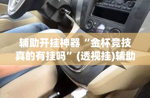 辅助开挂神器“金杯竞技真的有挂吗	”(透视挂)辅助透视教程