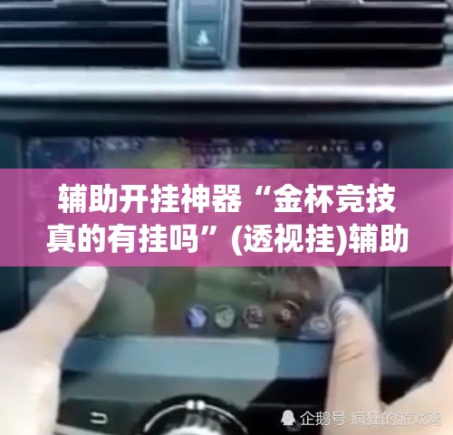 辅助开挂神器“金杯竞技真的有挂吗”(透视挂)辅助透视教程