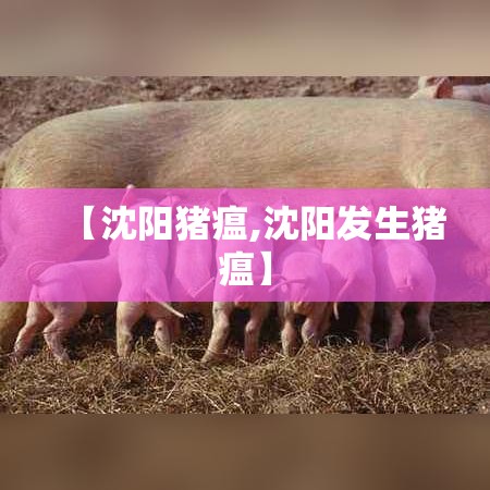【沈阳猪瘟,沈阳发生猪瘟】 【沈阳猪瘟,沈阳发生猪瘟】