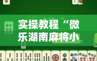实操教程“微乐湖南麻将小程序必赢神器免费	”科技辅助神器手机版教程