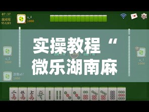 实操教程“微乐湖南麻将小程序必赢神器免费”科技辅助神器手机版教程