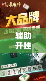 辅助开挂神器“边锋陕西麻将开挂视频教程	”透视开挂辅助教程