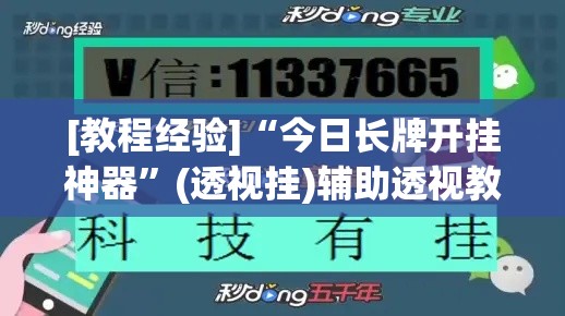 [教程经验]“今日长牌开挂神器”(透视挂)辅助透视教程