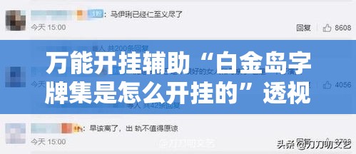 万能开挂辅助“白金岛字牌集是怎么开挂的	”透视开挂辅助教程