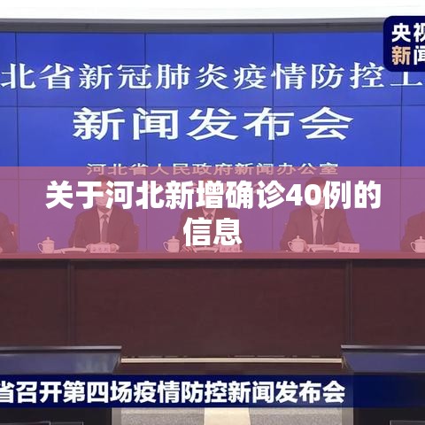 关于河北新增确诊40例的信息 关于河北新增确诊40例的信息
