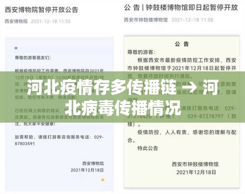 河北疫情存多传播链 → 河北病毒传播情况 河北疫情存多传播链 → 河北病毒传播情况
