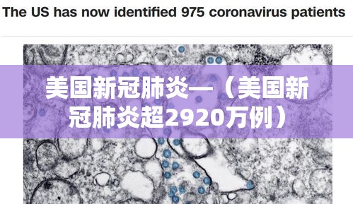 美国新冠肺炎—(美国新冠肺炎超2920万例) 美国新冠肺炎—(美国新冠肺炎超2920万例)
