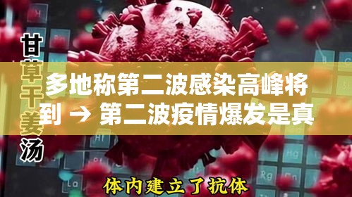 多地称第二波感染高峰将到 → 第二波疫情爆发是真的吗 多地称第二波感染高峰将到 → 第二波疫情爆发是真的吗