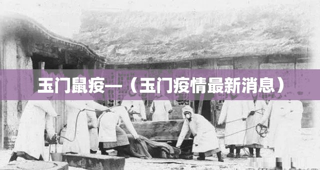 玉门鼠疫—(玉门疫情最新消息) 玉门鼠疫—(玉门疫情最新消息)