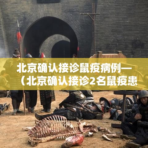 北京确认接诊鼠疫病例—（北京确认接诊2名鼠疫患者）