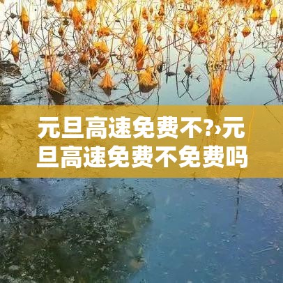 元旦高速免费不?›元旦高速免费不免费吗 元旦高速免费不?›元旦高速免费不免费吗