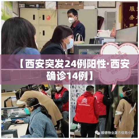 【西安突发24例阳性·西安确诊14例】