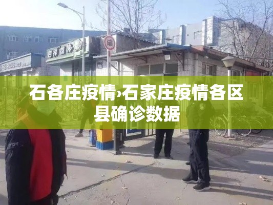 石各庄疫情›石家庄疫情各区县确诊数据 石各庄疫情›石家庄疫情各区县确诊数据