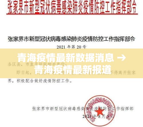 青海疫情最新数据消息 → 青海疫情最新报道