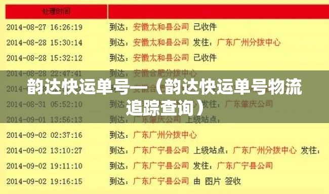 韵达快运单号—（韵达快运单号物流追踪查询）