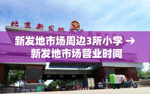 新发地市场周边3所小学 → 新发地市场营业时间