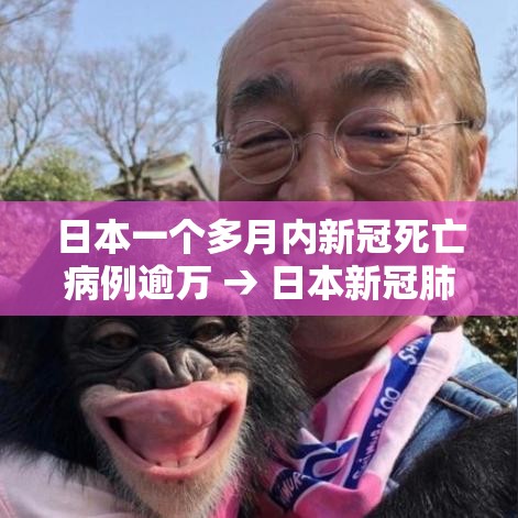 日本一个多月内新冠死亡病例逾万 → 日本新冠肺炎死亡数据