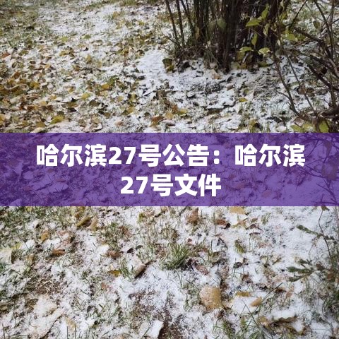 哈尔滨27号公告：哈尔滨27号文件