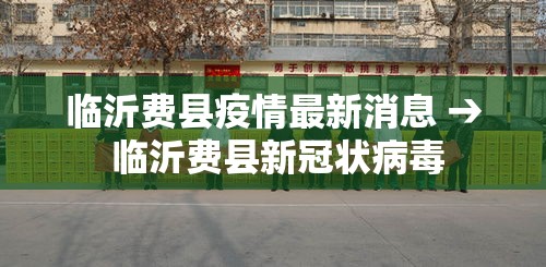 临沂费县疫情最新消息 → 临沂费县新冠状病毒 临沂费县疫情最新消息 → 临沂费县新冠状病毒
