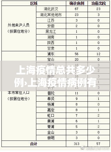 上海疫情总共多少例›上海疫情病例有多少