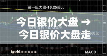 今日银价大盘 → 今日银价大盘走势 今日银价大盘 → 今日银价大盘走势