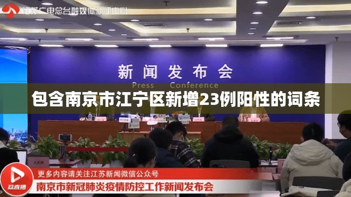 包含南京市江宁区新增23例阳性的词条