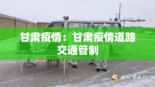甘肃疫情:甘肃疫情道路交通管制 甘肃疫情:甘肃疫情道路交通管制